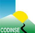 Codinse